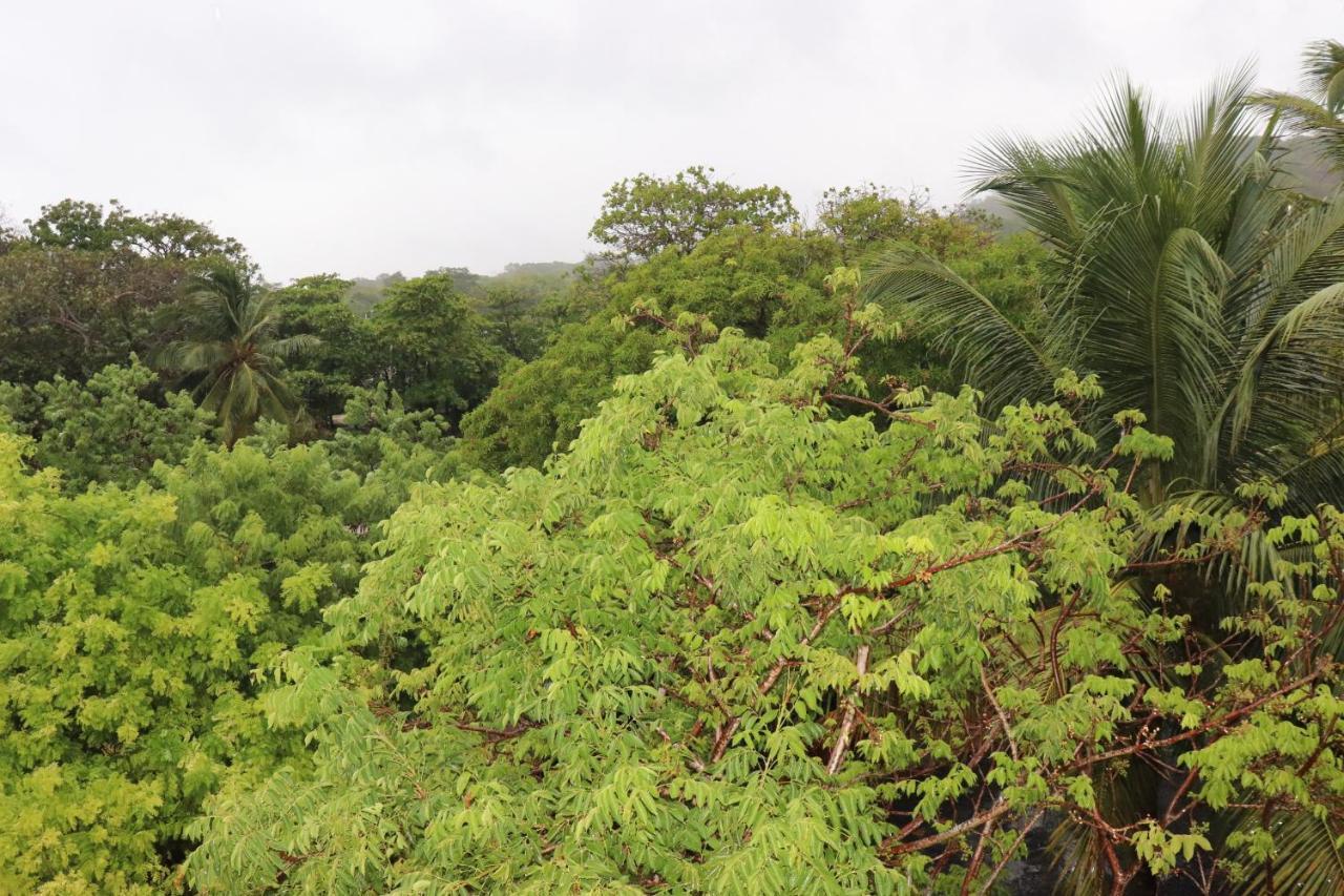 Hotel Posada Seremein ,West Bay ,Roatan Екстер'єр фото
